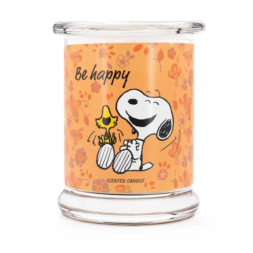 Duftkerze Snoopy Peanuts™ Aromakerze Geschenkkerze Raumduft Kerze im Glas 250g