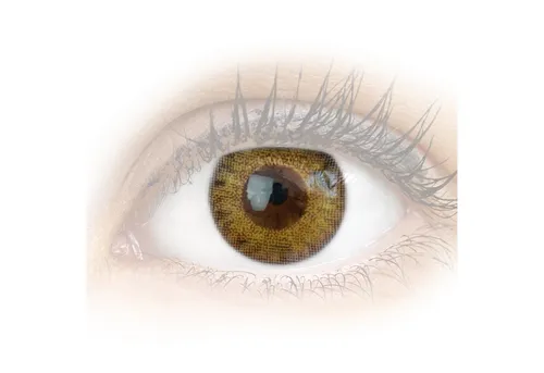 Kontaktlinsen Braun von GLAMLENS