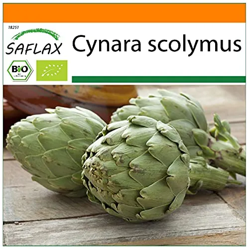 SAFLAX - Garden in the Bag - BIO - Artischocke - Imperial Star - 5 Samen - Mit Anzuchtsubstrat im praktischen, selbst aufstellenden Beutel - Cynara scolymus
