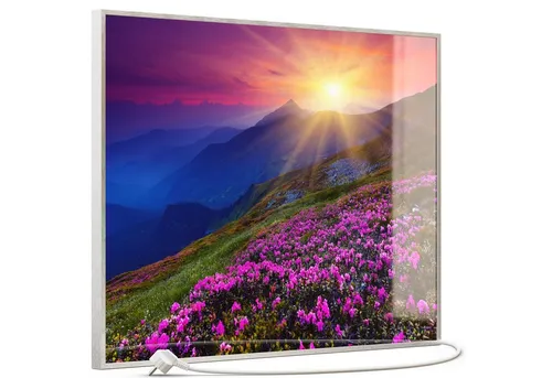 STEINFELD Heizsysteme Infrarotheizung, Glas Bild 350W-1200W, Inklusive Thermostat, 033 Sommerberg