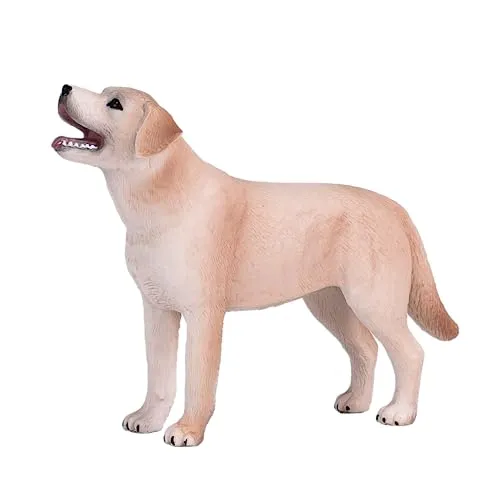 MOJO