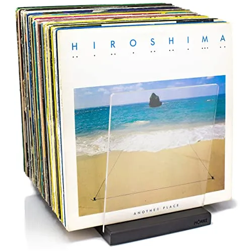 MÖNKE Schallplattenständer - Ein Plattenhalter im minimalistischen Design - 60 LP Kapazität - passt zu jeder Einrichtung (Schwarz)