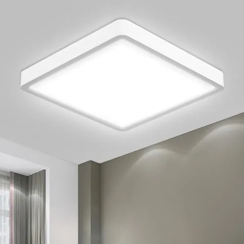 LQWELL® Deckenleuchte LED Deckenlampe, IP44 Wasserfest Badlampe Quadrat Flach 23W 6000K 2600LM Modern Schlicht Lampe Dünn für Wohnzimmer Badezimmer Schlafzimmer Küche Balkon Keller Büro, 300 * 25mm