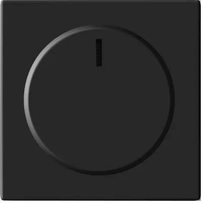 Busch-Jaeger 6540-81-102 Zentralscheibe mit Drehknopf, Befestigungs-Mutter und Glimmlampe, future linear, anthrazit (2CKA006599A2950)