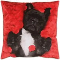 Bestlivings Kissenhülle Fotodruck 40 x 40 cm Hund Ohne Füllung