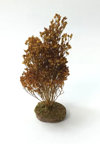 Gelbe Strauch aus Naturmaterial.14-16 cm. für Weihnachtskrippen. Krippenbotanik