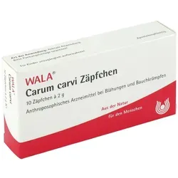 Carum Carvi Zäpfchen 20 G - Praktische Zäpfchen für eine gezielte Anwendung, ideal zur Unterstützung der Verdauung. Enthält natürliche Inhaltsstoffe für ein gutes Wohlbefinden.