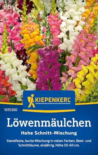 Kiepenkerl Löwenmäulchen Samen Hohe Schnitt 200 Pflanzen von Kiepenkerl