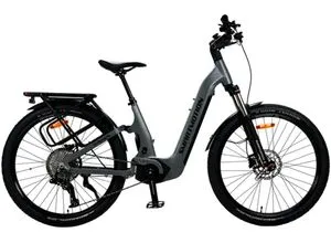 E-Bike SMARTMOTION Xcapade Performance Gr. 46, grau