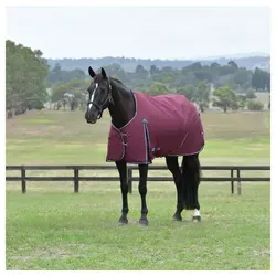 WeatherBeeta Pferde-Thermodecke Weatherbeeta Comfitec Essential Turnout 220g 150 cm / 6'6 cm