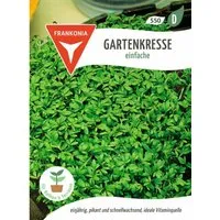 FRANKONIA Gartenkresse