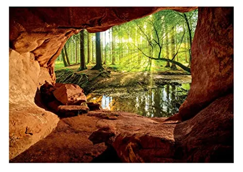 Wallarena Fototapete 3D EFFEKT Wald Höhle Sonne Grotte in grün von Wallarena
