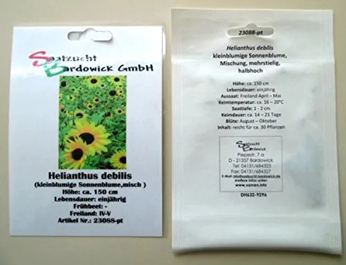Sonnenblume kleinblumige Mischung Samen Saatgut für ca 30 Pfl. Sonnenblumensamen Sonnenblumensaat