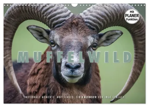 Ingo Gerlach | Emotionale Momente: Muffelwild (Wandkalender 2026 DIN A3) - Erleben Sie die faszinierende Tierwelt mit diesem hochwertigen Wandkalender von Ingo Gerlach. 14 beeindruckende Motive bringen Natur und Garten in Ihr Zuhause. Ideal für Tierliebhaber und Naturfreunde.