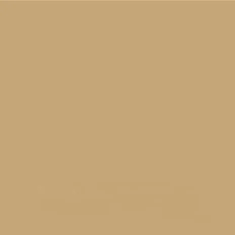 UPOL RAPTOR Pick Up Transportflächen Fahrzeug Beschichtung 948ml + 100ml Acryl Lack zum einfärben (RAL 1001 Beige)