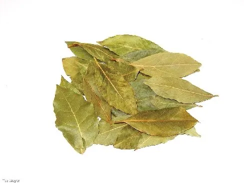 Lorbeerblätter ganz 1kg Tee-Meyer