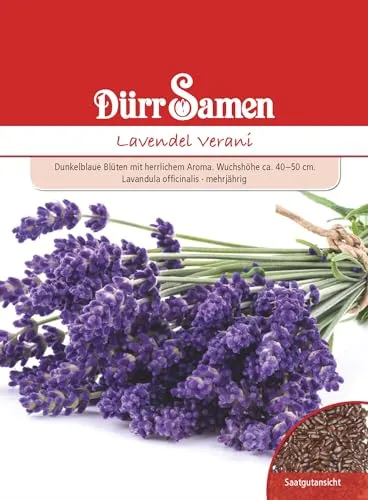 Dürr-Samen - Lavendel Verani Saatgut