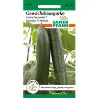 SAMEN PFANN Gewächshausgurke Lucky Cucumber Greensky F1