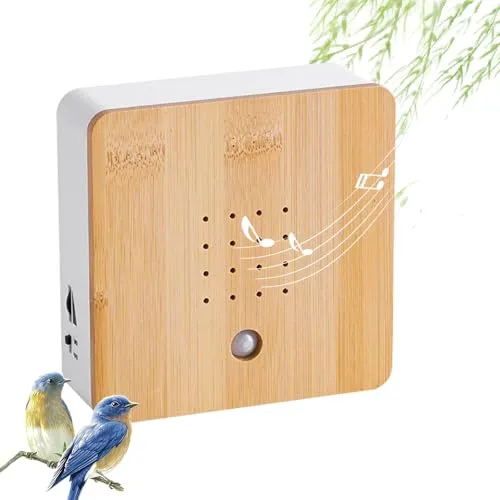RNPKZ Vogelgezwitscher Box – Naturgeräusche für Entspannung