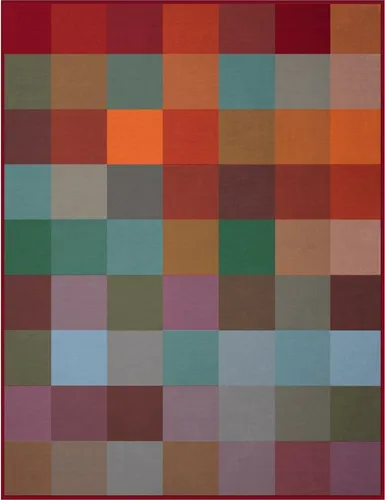 Biederlack Wohndecke Woven - Bettdecken aus 100% Baumwolle, kuschelig und pflegeleicht, ideal für gemütliche Abende zu Hause.