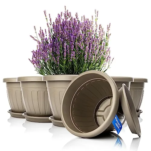 BigDean Blumentopf 6x Pflanzkübel Set 40 cm Mokka - Set aus 6 wetterfesten und UV-beständigen Pflanzkübeln, ideal für den Innen- und Außenbereich. Langlebige Qualität mit einem Fassungsvermögen von 25 l pro Topf.