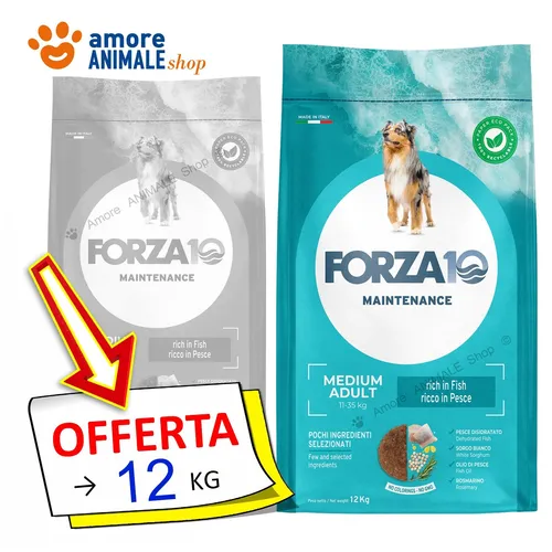Forza10 Dog Maintenance → Fisch - Medium Adult - 12 Kg - Hundefutter Kroketten