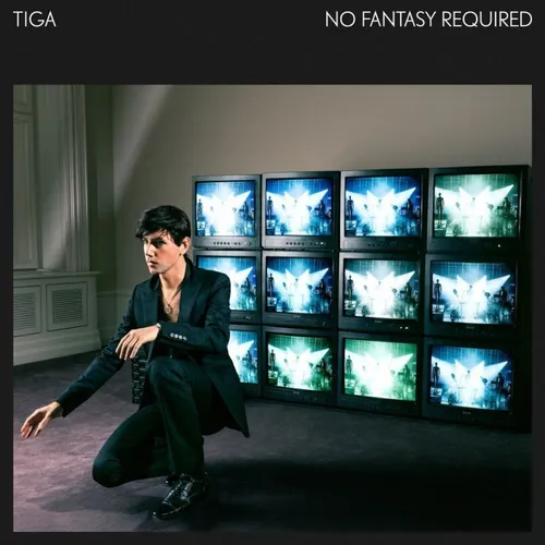 Tiga - No Fantasy Required Vinyl 2LP NEU 09534371