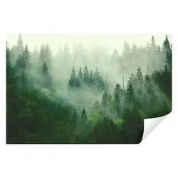 Wallarena Fototapete Wald im Nebel Natur 3D EFFEKT Vlies Tapete Wohnzimmer Schlafzimmer, Glatt, Wald, Tapete inklusive Kleister Vliestapete Motivtapete 4.16 m x 2.9 m