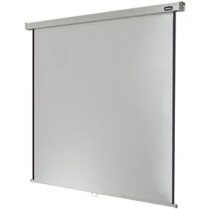 Celexon Beamer-Leinwand Rollo Professional, 111 Zoll, 195 x 195 cm, Format 1:1, Rolloleinwand