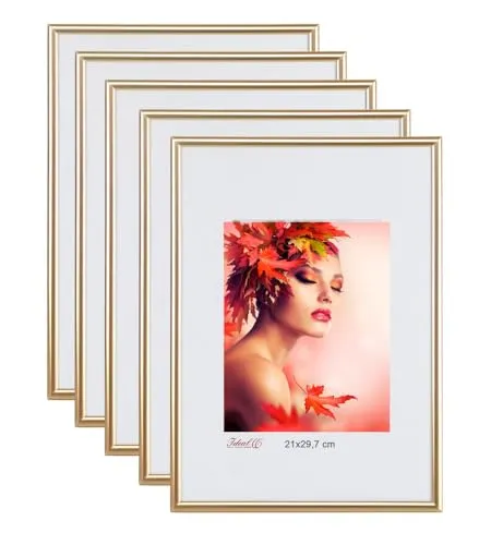 IDEAL TREND 2er 3er 5er Pack Bilderrahmen Kunststoff Lifestyle Foto Rahmen Collage KYOTO: Farbe: 5er Pack Gold | Format: 21x29.7