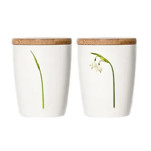 Simply Flowers - Tasse, Kaffeetasse, Teetasse, Vorratsdose - mit Bambusdeckel - Motiv: Märzenbecher- 240 ml - 1 Stück