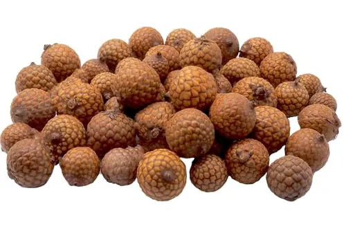 ZauberDeko Streudeko Natur Rattan Frucht Deko Herbst Weihnachten Streudeko Wichtel Basteln 150g
