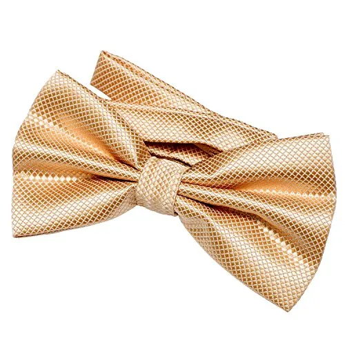 DonDon Herren Fliege 12 x 6 cm gebunden mit Hakenverschluss und größenverstellbar für besondere Anlässe gold