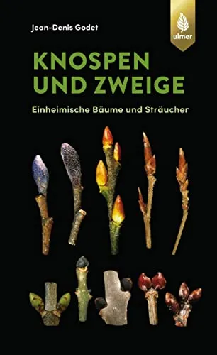 Knospen und Zweige: Einheimische Bäume und Sträucher (GODET Naturführer) - Kräuter in Haus & Garten, umfassender Naturführer zur Identifikation einheimischer Bäume und Sträucher anhand ihrer Knospen und Zweige.