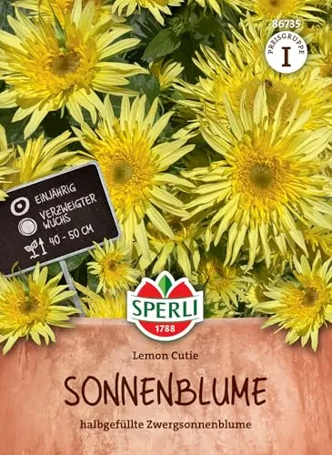 Sperli Sonnenblumensamen Lemon Cutie 86735 - Einjährig - verzweigter Wuchs - Zwergsonnenblume - 40-50cm - Pflanzen Samen, Saatgut, Blumensamen