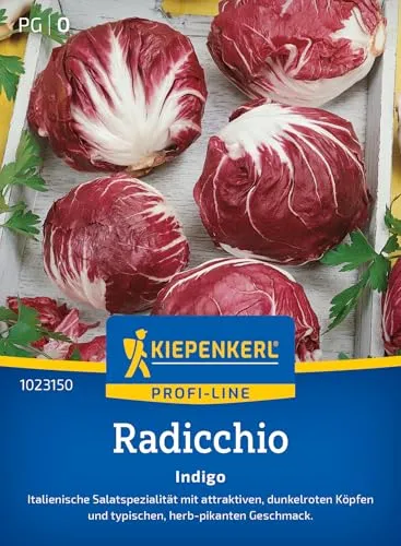 Kiepenkerl Profi-Line Radicchiosamen Indigo 1023150 - Ertragreiche Salatsamen für sicheres Gärtnern, dunkelrote Blätter, Ernte bis Frühwinter, Gemüsesamen für 30 Pflanzen