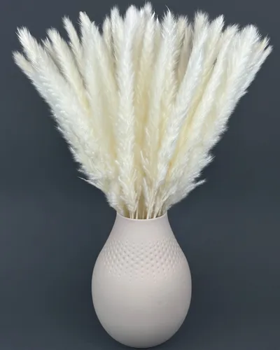 Pampasgras Deko weiß 45cm lang Trockenblumen groß I Boho Deko I getrocknete B