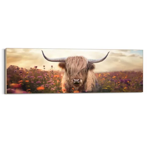 Bild SPRING HIGLANDER BHT 156x52x3 cm bunt Kunstdruck Gemälde Wandbild