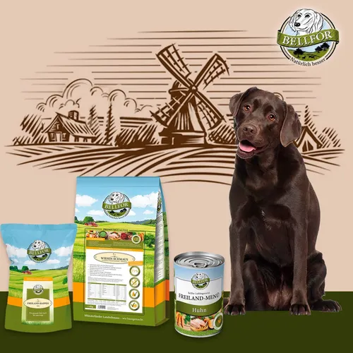 Bellfor Hundefutter Set - Trocken- und Nassfutter für Labradore - Vielfältiges Futterset für Labradore mit getreidefreien, glutenfreien und kaltgepressten Optionen. Ideal für die ausgewogene Ernährung Ihres Hundes.