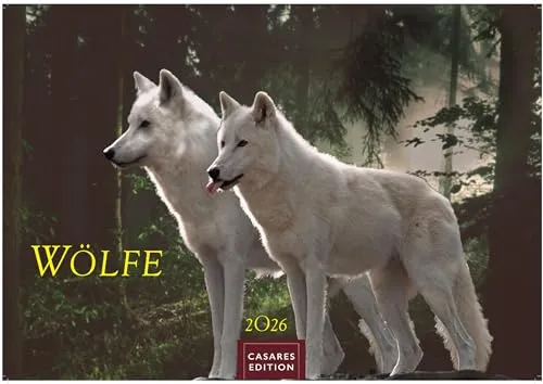 Wölfe Kalender 2026 – Wandkalender | Fotokalender Tierkalender 24x35cm - . mit faszinierenden Wolf-Motiven,