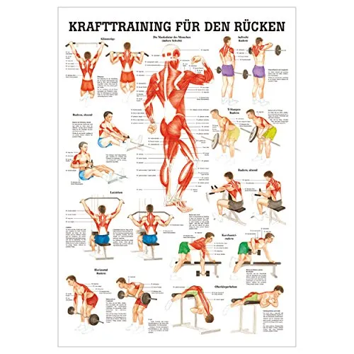 Sport-Tec Mini-Poster Krafttraining Rücken