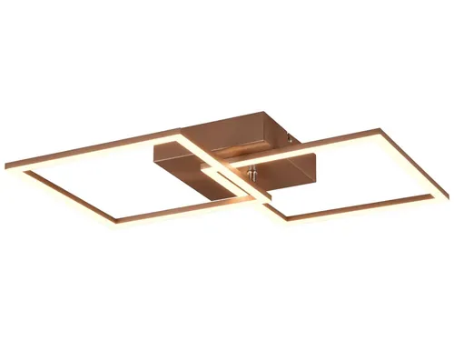 Trio R64492165 LED-Deckenleuchte Trail 1x20W von Reality