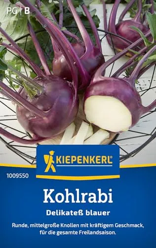 Kiepenkerl Kohlrabisamen Delikateß blauer 1009550 - Runde, mittelgroße Knollen - Inhalt für 150 Pflanzen - Gemüsesamen, Samen Gemüse, Saatgut, Samen Kohlrabi