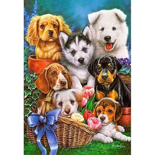TEILE PUZZLE, PUPPIES, CASTORLAND 104048 1000