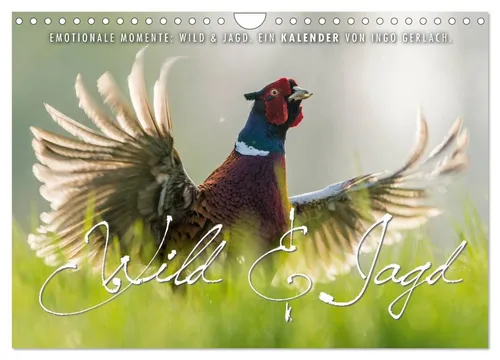 Ingo Gerlach | Emotionale Momente: Wild und Jagd - Wandkalender 2026 - Kalender für Jäger und Jagdfreunde mit beeindruckenden Tieren, 14 Seiten voller emotionaler Momentaufnahmen, ideal für jedes Zuhause.