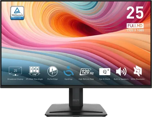 MSI PRO MP251 E2 24.5