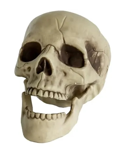 Horror-Shop Totenkopf mit beweglichem Kiefer 20cm als Deko
