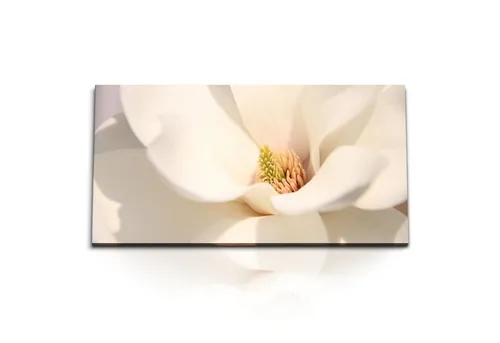 Sinus Art Leinwandbild Kunstdruck Bilder 120x60cm Magnolia Blume Weiße Blüte Makrofotografie, (1 St)