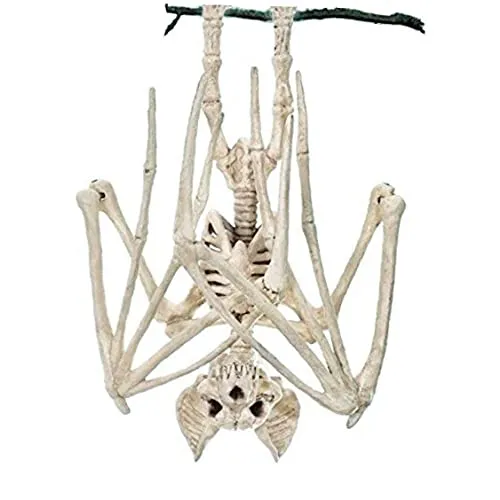 REOVE 1 Pc Horrible Halloween Fledermaus Skelett Simulation Fledermaus Lebensechte Fledermaus Knochen Requisiten Tier Für Dekoration, Fledermaus
