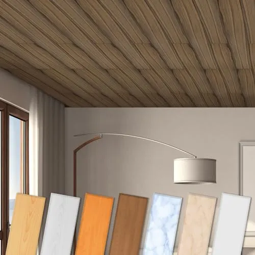 HEXIM Deckenpaneele aus XPS - Moderne Deckenverkleidung aus Styropor Kunststoff (Muster P-13) Wand Decke Paneel